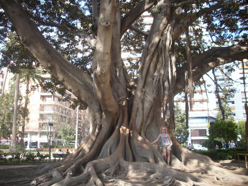 Valencia_76.JPG.400e3baa9815157cb46344b0dc40b885.JPG