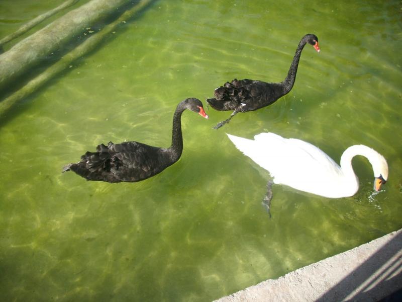 Valencia_81.JPG.860a22570cc2e9a47694498f6d463b97.JPG