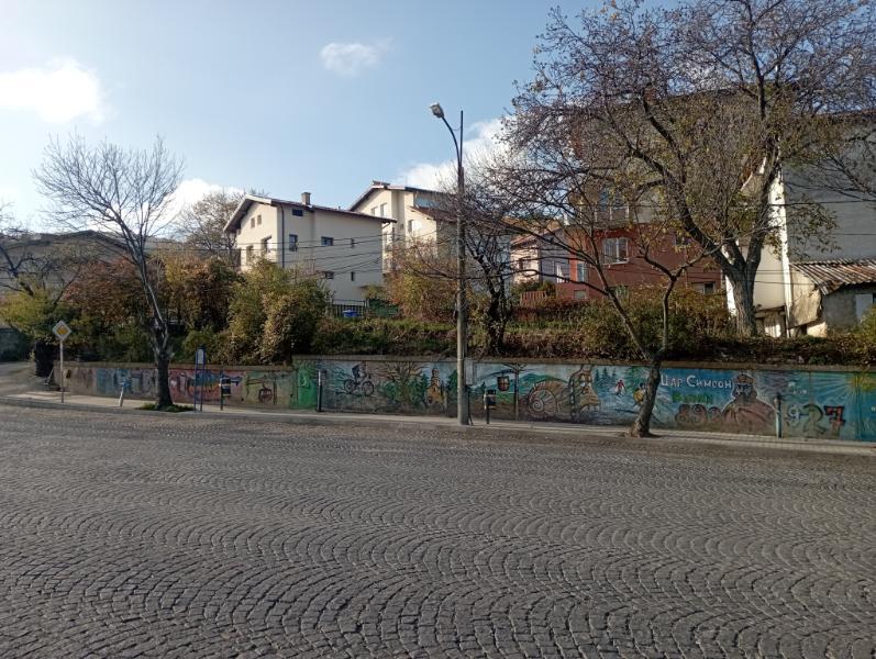 Vitoshkolale_1.jpg.d014bfedd848e69a5737be97bb8eefb6.jpg