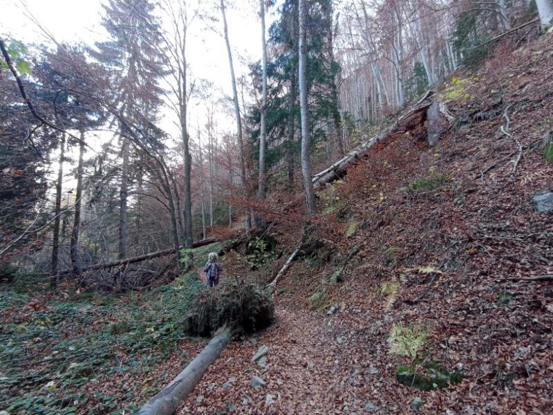 Vitoshkolale_118.jpg.32bee94258100cfe78ad607c9e919339.jpg