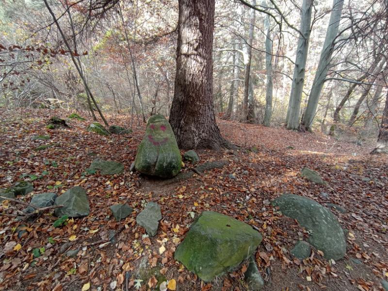Vitoshkolale_126.jpg.53f6b9b8031f3a53c336c672c5a62df5.jpg