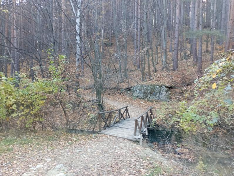 Vitoshkolale_21.jpg.4d45cc99cbaabc6cc7e259a66ab851ba.jpg