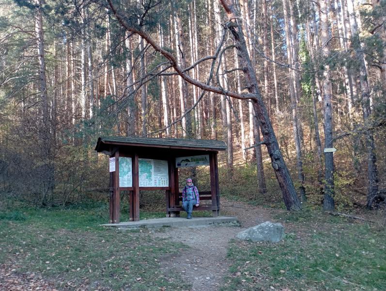 Vitoshkolale_22.jpg.00702d11d6777cd52a94fcdbe81ed88d.jpg