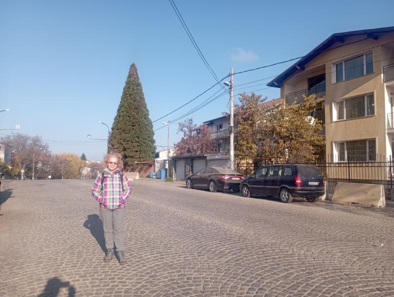 Vitoshkolale_4.jpg.90c019e0dcd9b9deb43757d1e75724da.jpg
