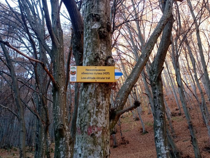 Vitoshkolale_45.jpg.e71d9e02471b754c778a553c2b97ddc3.jpg