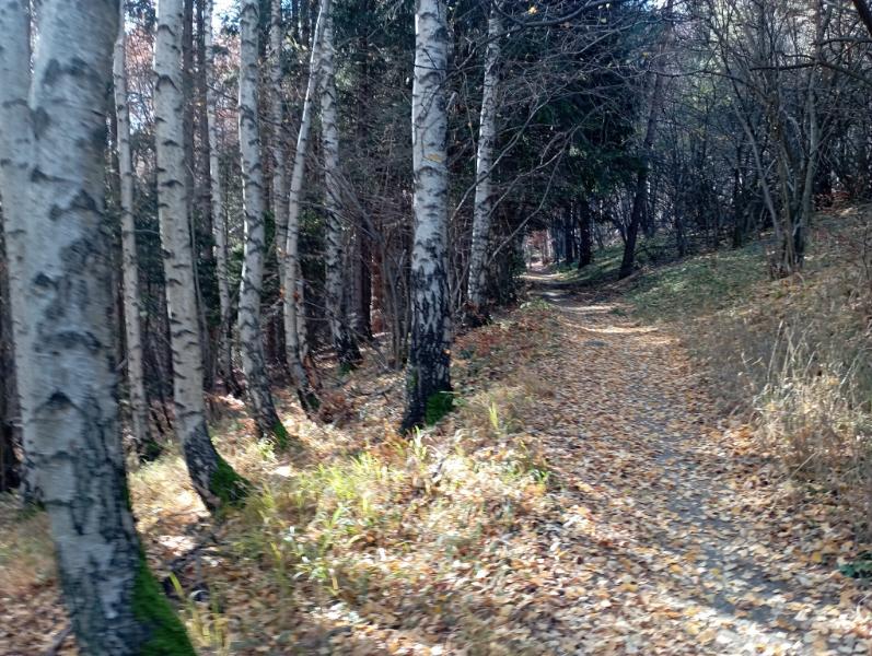 Vitoshkolale_78.jpg.21885ff978252e68b8ca7ba42665182c.jpg