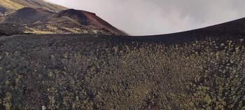 IMG_20261017_175459.jpg