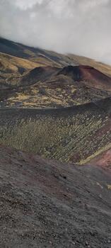 IMG_20261017_175648.jpg