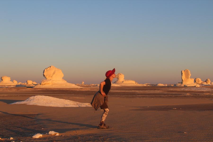 theWhiteDesert_24.JPG.891d5e283a105c8d156419f8baf97f90.JPG