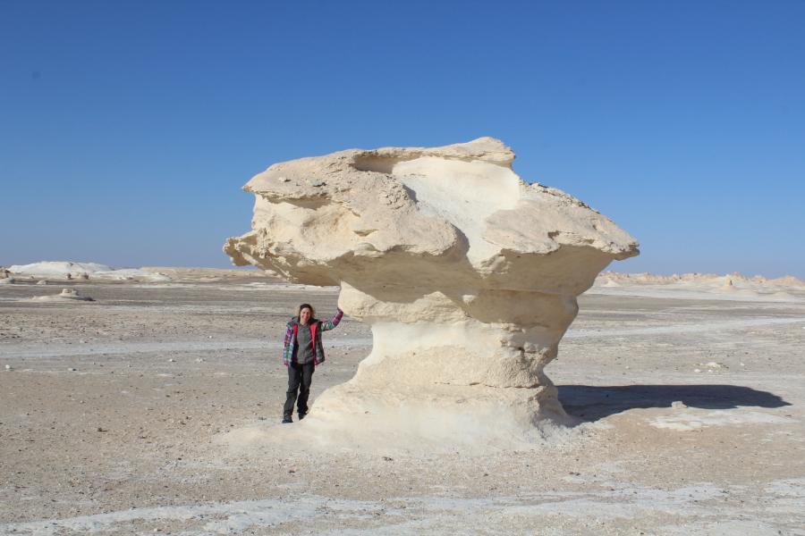 theWhiteDesert_71.JPG.c4dfa37771ac330b951ff9005fb0f2b5.JPG