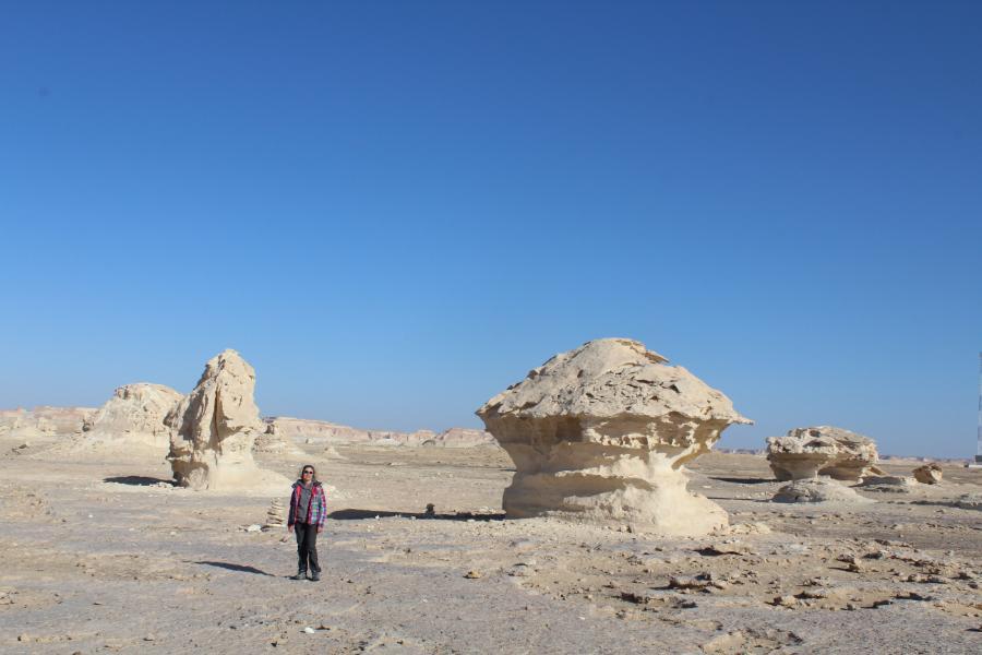 theWhiteDesert_77.JPG.605abf1ccd51b1eb50229f1a1d237645.JPG