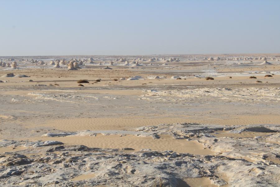 theWhiteDesert_84.JPG.89f25c0e490d40e937d6cb61a3a97277.JPG